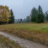 U zablácené cesty stojí stromy.