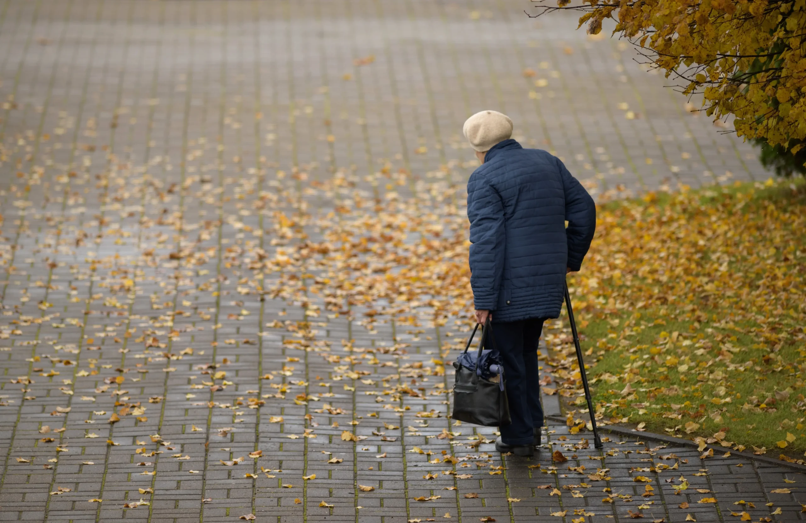 shutterstock_2692111155-2 | TVGURU.cz Seniorka kráčí parkem s holí.